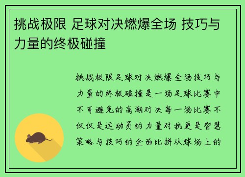 挑战极限 足球对决燃爆全场 技巧与力量的终极碰撞