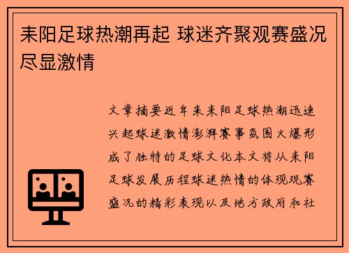 耒阳足球热潮再起 球迷齐聚观赛盛况尽显激情