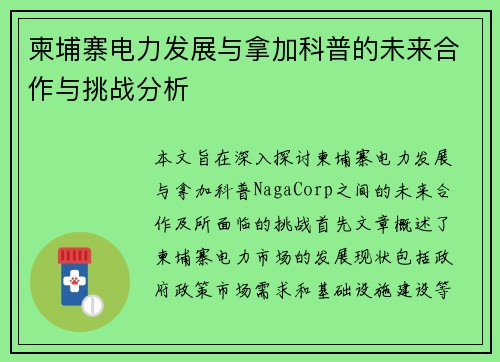 柬埔寨电力发展与拿加科普的未来合作与挑战分析