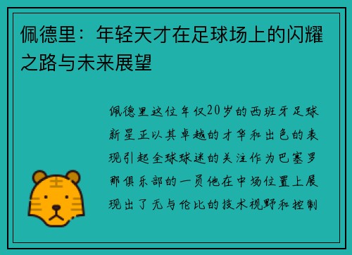 佩德里：年轻天才在足球场上的闪耀之路与未来展望