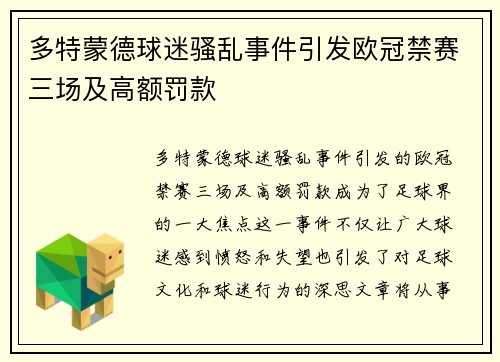 多特蒙德球迷骚乱事件引发欧冠禁赛三场及高额罚款