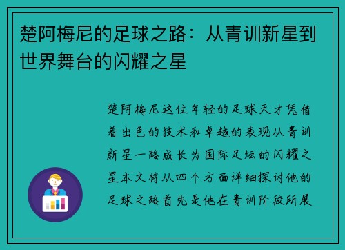 楚阿梅尼的足球之路：从青训新星到世界舞台的闪耀之星