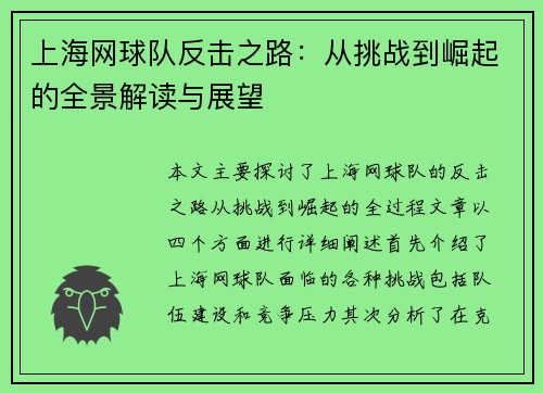 上海网球队反击之路：从挑战到崛起的全景解读与展望